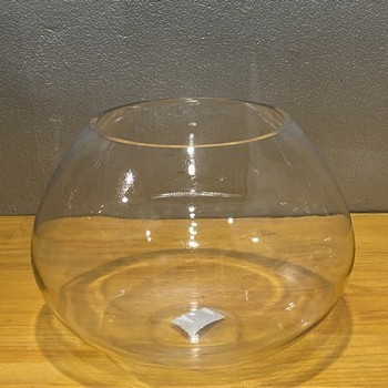 Glass Vase Bowl 09139
